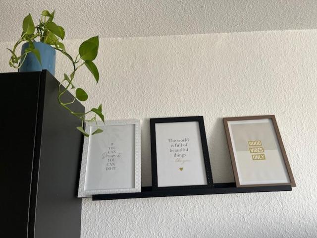 Cosy Rent Strasbourg Orangerie Tv Wifi Cathedrale Apartment Exterior photo
